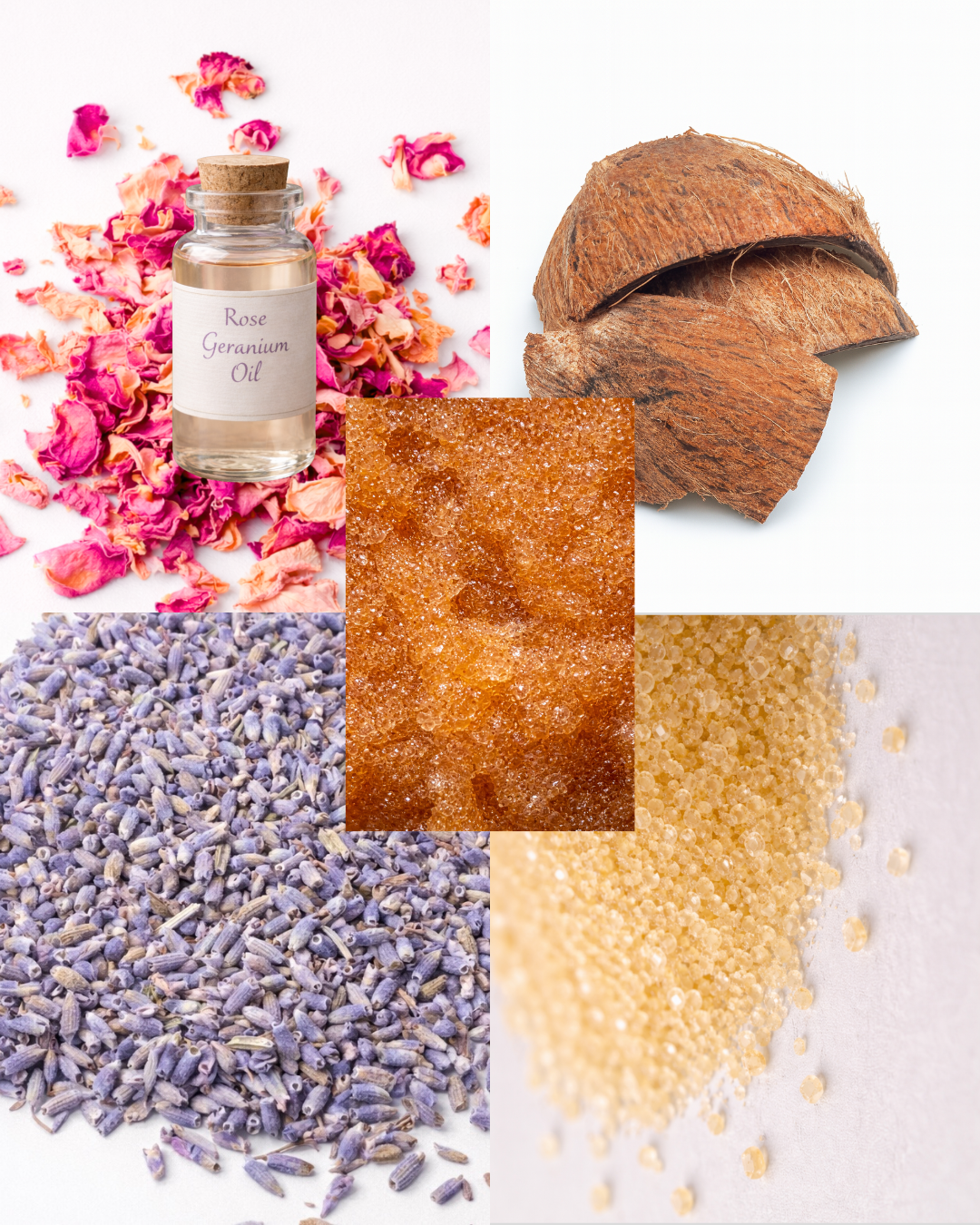 Bliss Bloom body scrub ingredients featuring coconut shell exfoliant, lavender buds, and botanical extracts by ROHANiLE