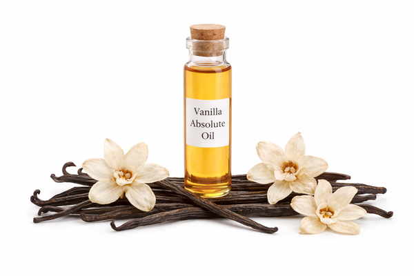 Vanilla absolute oil
